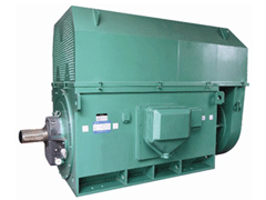 名山Y系列6KV高压电机